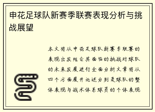 申花足球队新赛季联赛表现分析与挑战展望